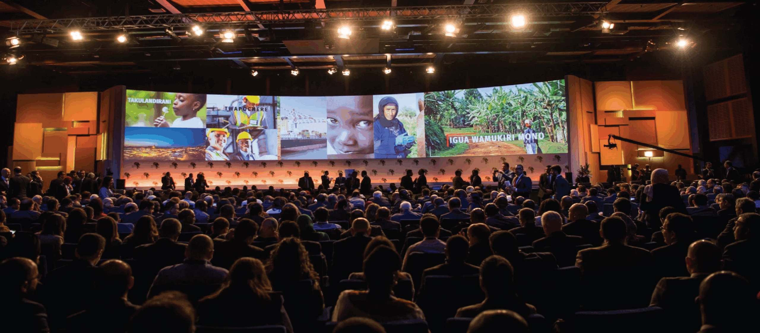 Immersive  Exhibition Management